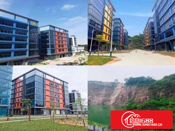 大岭山全新证件齐全高新园区分租厂房90000平米可分租