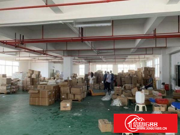 上洞标标准一楼厂房400平方招租，原房东