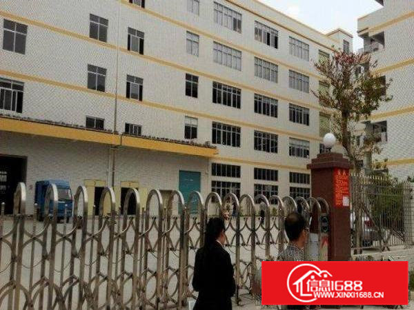 独院5层12000平米全新厂房分租小分租1000