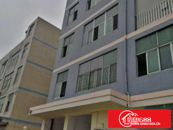 横岗四联1150平方带装修厂房出租无转让费