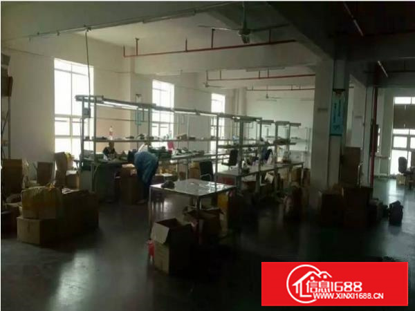 长安涌头新出楼上600平方带装修厂房出租带地坪漆