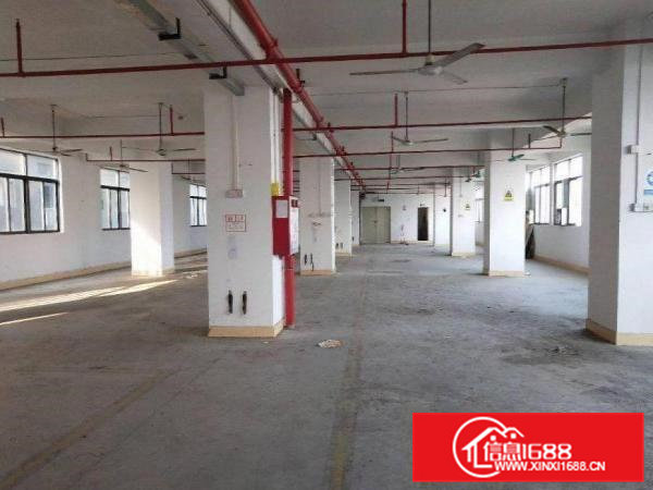 新四楼上整层面积950方，现成水电线路办公室装修