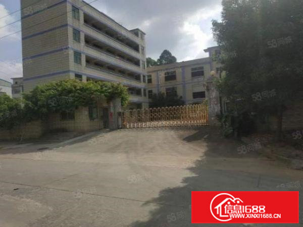 桥头新出带红本！原房东！标准一楼现成装修500平方出租