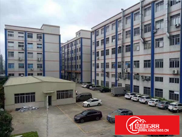 厚大路大塘工业区新空出二楼五楼各1500平米，全新地坪漆