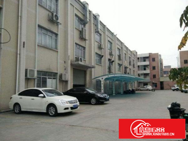 星光新出标准一楼1200方，价格便宜，带装修