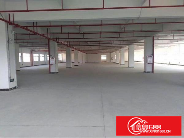 全新厂房招租带红本，整租分租都可