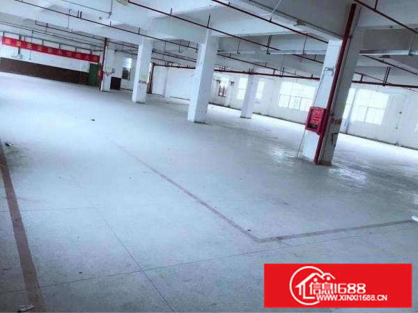 陈江6500平独院，可做污染行业，有红本，可办环评