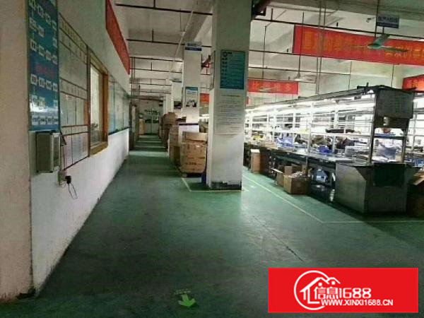 凤岗三联路楼上整层厂房面积5000平，形象非常好