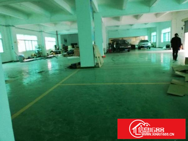 龙岗中心城新生社区新出标准厂房一楼仓库1250平方。可分租