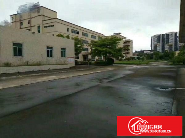 原房东标准一楼3300平低价出租