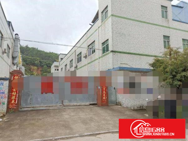 凤岗金凤凰小独门独院厂房出租2000平塑胶玩具五金