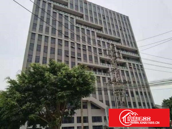 大朗富民区松源12000全新标准工业用地性质厂房