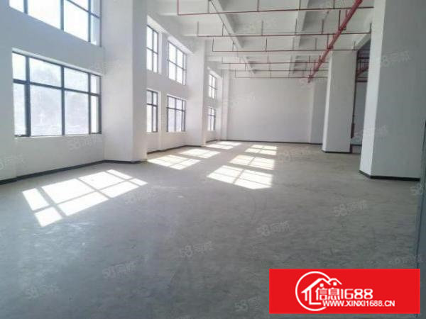 大朗新马莲全新标准工业高新厂房层高8米工业用地可办环评可分租