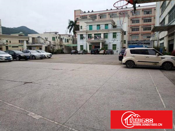 205国道边标准一楼厂房650平出租，有空地