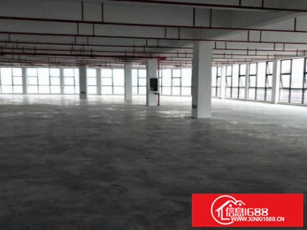 龙岗高新园区新空出红本高端产业园厂房大小出租