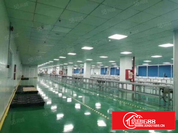 臣田宝田工业区1300平米带装修厂房出租