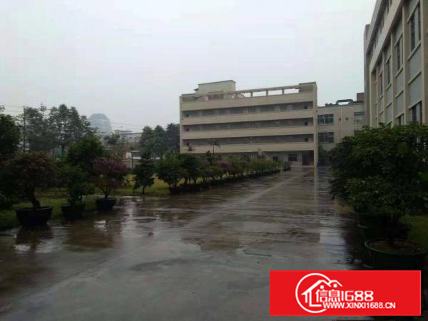 长安乌沙原房东楼上5500平每层厂房出租电商仓库出租分租