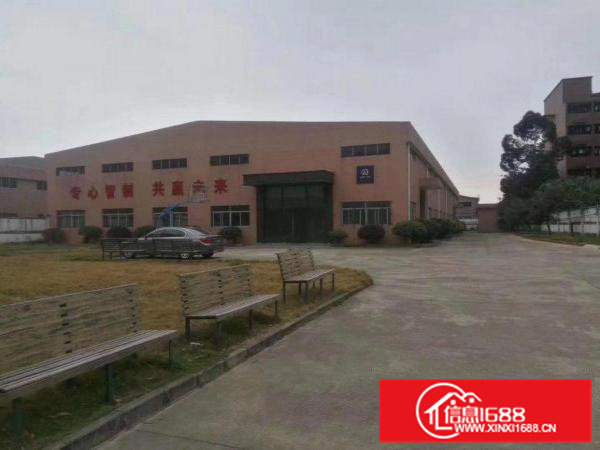 桥头镇原房东单一层独院厂房招租