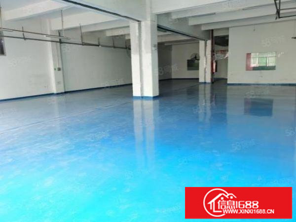 新田五楼500平方，带装修，厂房出租