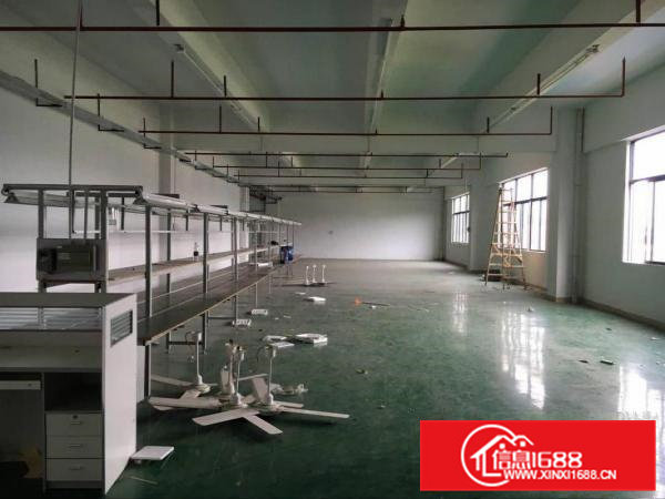 天堂围近深圳观兰二楼厂房出租800平米水电齐全有办公室