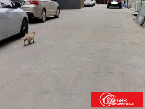 精装修山厦工业城三楼厂房出租350平方