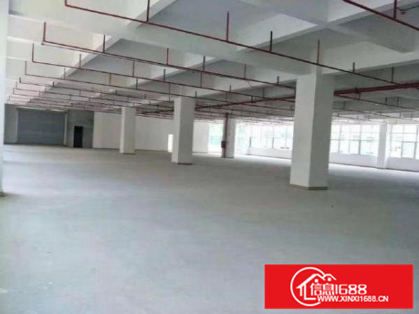 凤岗金凤凰工业区新出楼上