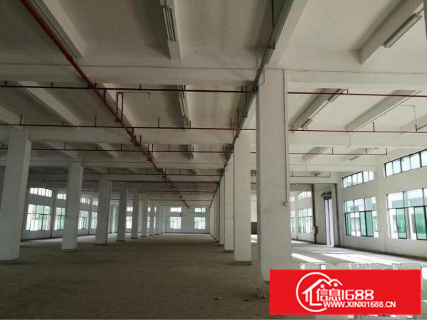 桥头镇大洲新空出带消防喷淋一楼带牛角5000平方