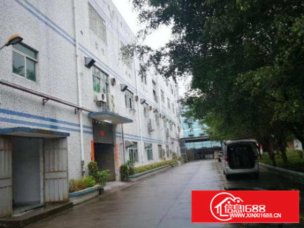 石岩龙眼山社区厂房一楼带精装修办公室800平出租