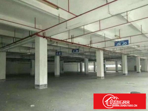 虎门滨海大道边红本独院厂房4200平招租，可分租