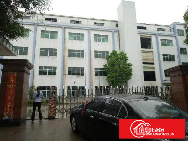 惠阳新圩新出独院10000平形象好空地大可分租