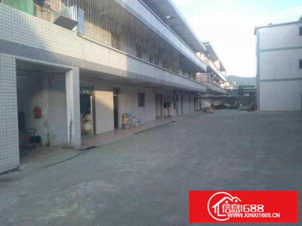 碧岭独院标准厂房三层带电梯3000平招商（可分租）