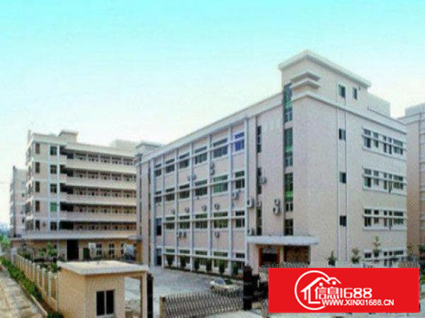 高埗独院标准一楼厂房出租500平方出租配电按需，消防水电齐全