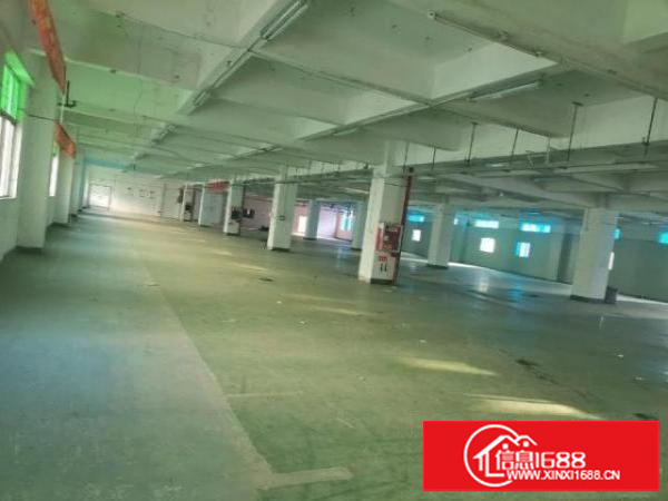 六约牛始埔二楼2400平特价出租给钱就租