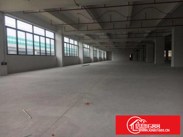 可办环评，容桂独院1000方标准厂，配电大