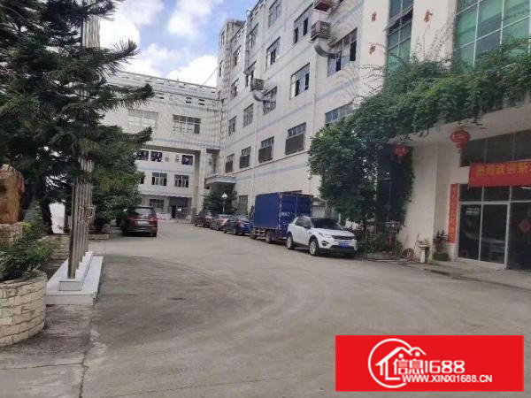 独院石排五层标准厂房7200平方招租可分租