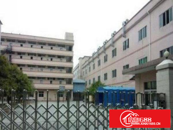 常平陈屋贝新出独院厂房4300平招租，格局方正