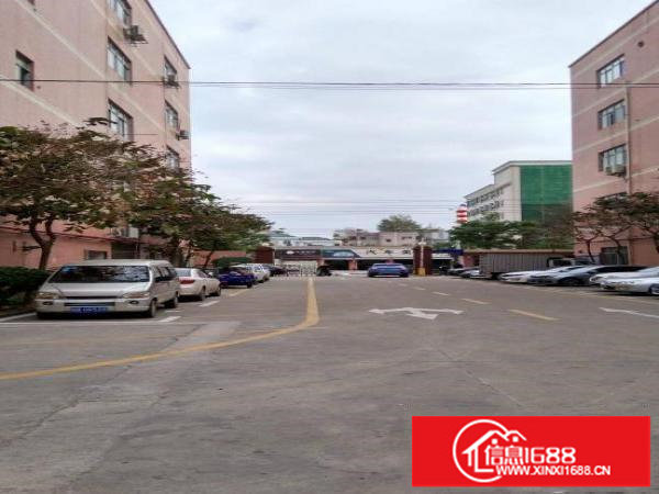 龙岗南联学校旁边2500平米一楼厂房出租