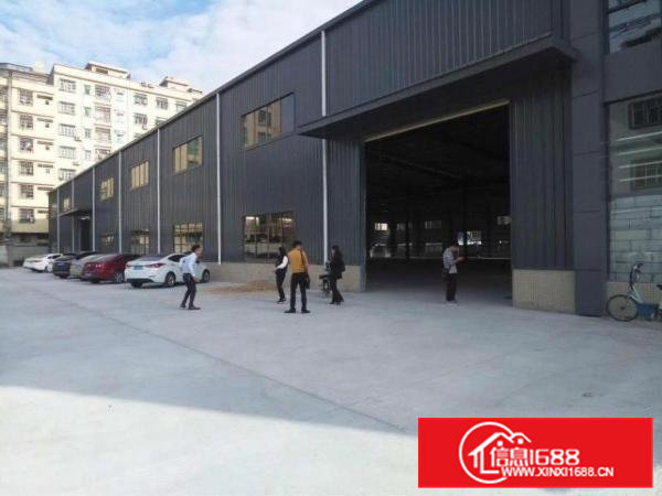 常平独院9米高单一层钢构10000平方出租