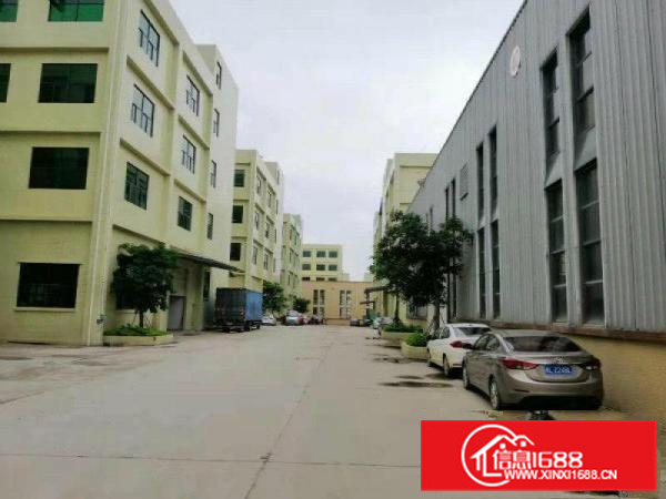 高13米龙门一手房东单一层约2300平方红本钢构厂房招租