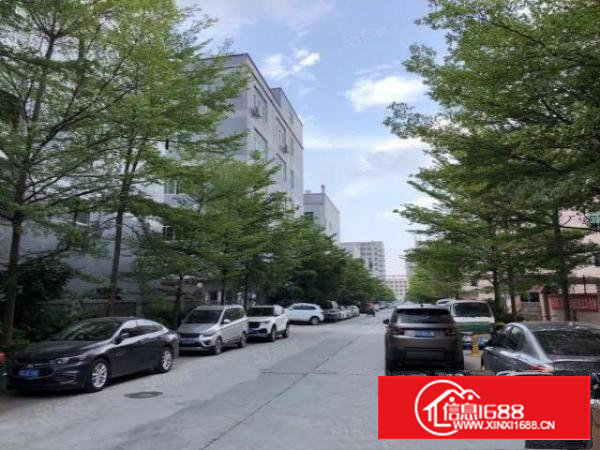 沙井新桥2楼整层2500平，带豪华装修无转让费