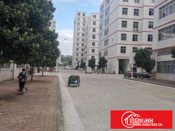 凤岗五联空出无尘车间厂房1000平方实际面积出租有装修办公室