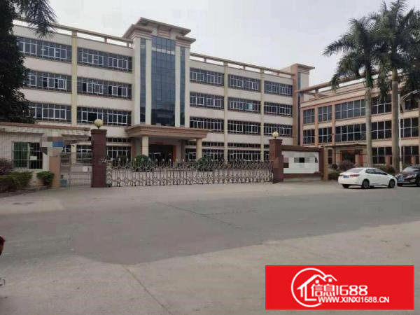 茶山镇原房东9成新7500平花园式独院厂房