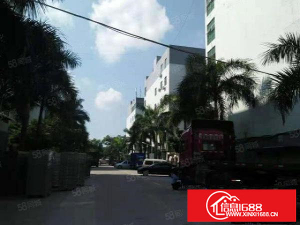 观澜章阁主干道旁新出精装修650平厂房出租零公摊