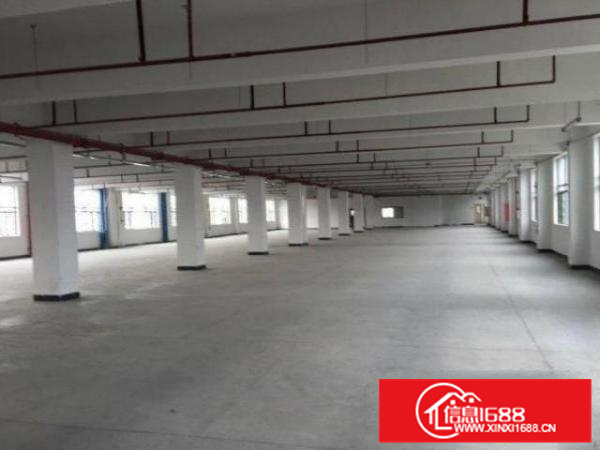 狮山五星分租1楼740平厂房