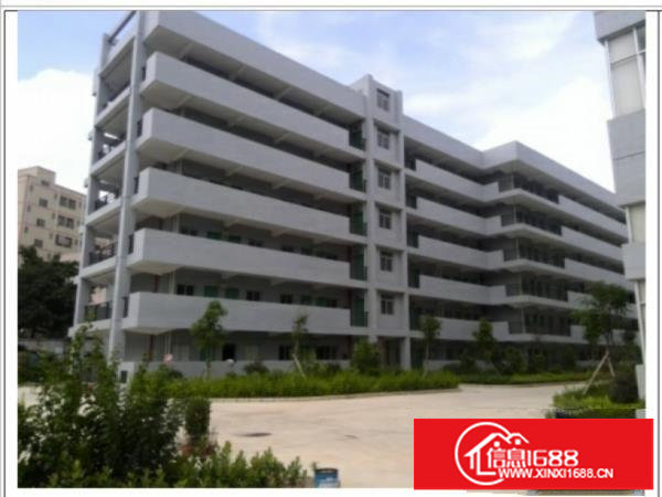 独门独院，全新产业园一手房东招租