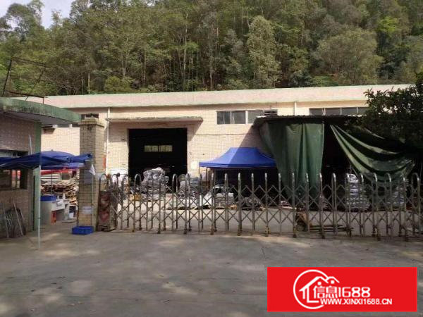 清溪单一层砖墙到顶标准小独院钢构厂房出租1200平水电齐