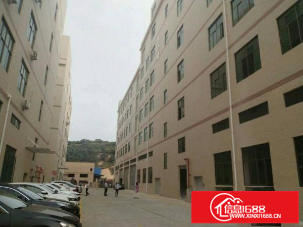 清溪镇全新重工业标准厂房20000平方分租