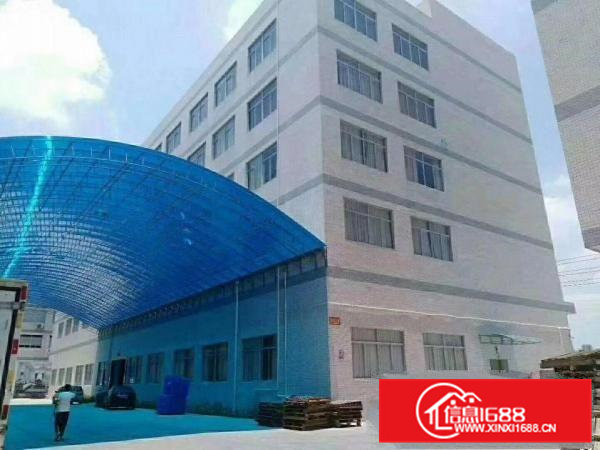 桥头镇新出原房东三层5500平方独门独院厂房租出租