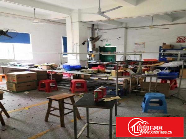 横岗大康新出楼上整层460平米出租