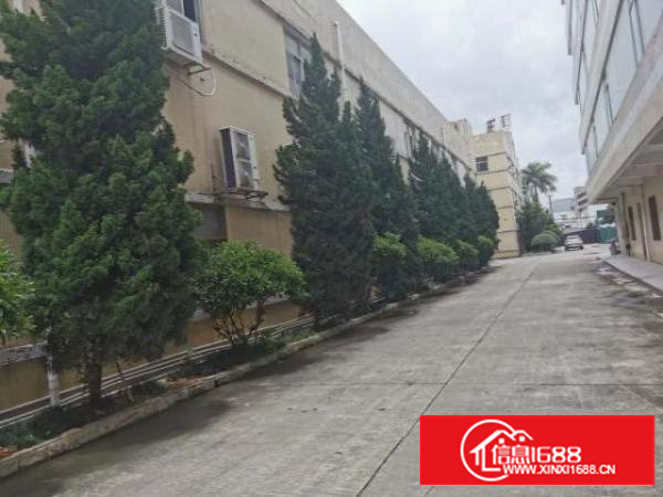 谢坑两层厂房好招工价格好谈